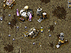 Evolved Screenshot